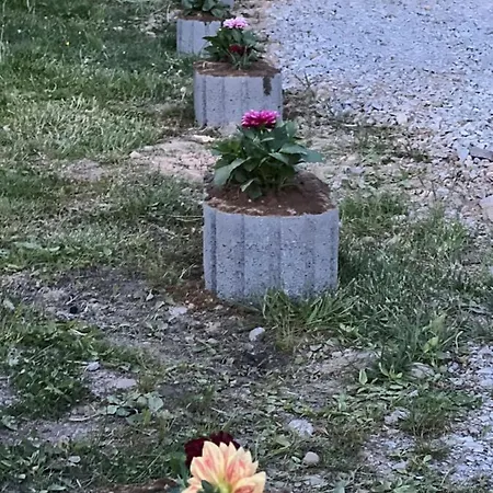 Campsite Casuta Butoi Din Lemn *