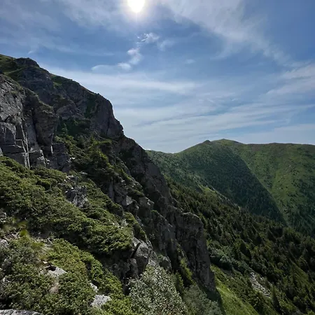 Casuta Butoi Din Lemn Campsite